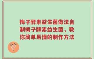 梅子酵素益生菌做法自制梅子酵素益生菌，教你简单易懂的制作方法