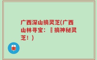广西深山摘灵芝(广西山林寻宝：採摘神秘灵芝！)