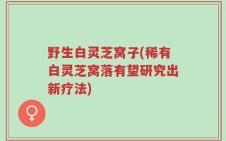 野生白灵芝窝子(稀有白灵芝窝落有望研究出新疗法)