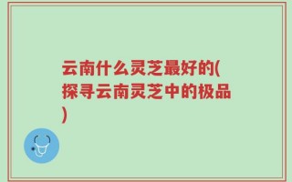 云南什么灵芝最好的(探寻云南灵芝中的极品)