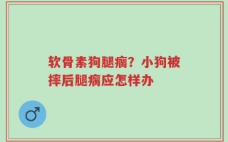 软骨素狗腿瘸？小狗被摔后腿瘸应怎样办