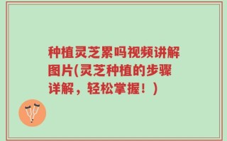 种植灵芝累吗视频讲解图片(灵芝种植的步骤详解，轻松掌握！)