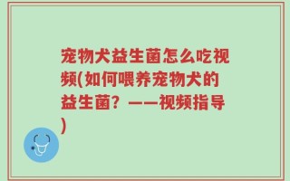 宠物犬益生菌怎么吃视频(如何喂养宠物犬的益生菌？——视频指导)