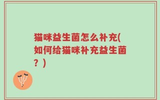 猫咪益生菌怎么补充(如何给猫咪补充益生菌？)