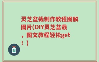 灵芝盆栽制作教程图解图片(DIY灵芝盆栽，图文教程轻松get！)