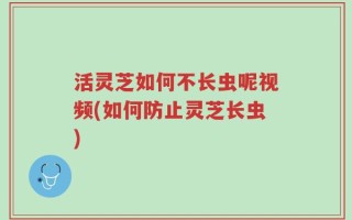 活灵芝如何不长虫呢视频(如何防止灵芝长虫)