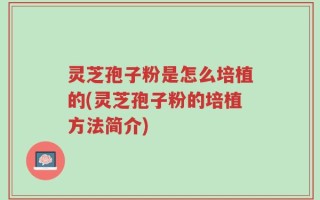 灵芝孢子粉是怎么培植的(灵芝孢子粉的培植方法简介)