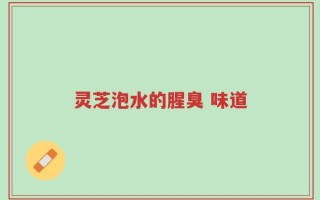 灵芝泡水的腥臭 味道