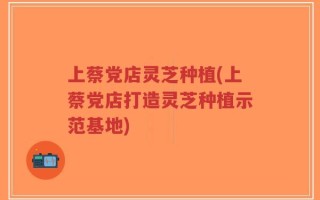 上蔡党店灵芝种植(上蔡党店打造灵芝种植示范基地)