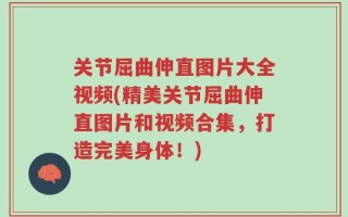 关节屈曲伸直图片大全视频(精美关节屈曲伸直图片和视频合集，打造完美身体！)