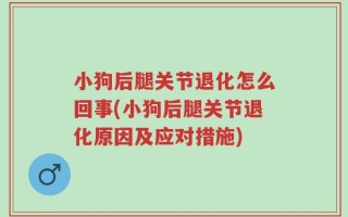 小狗后腿关节退化怎么回事(小狗后腿关节退化原因及应对措施)