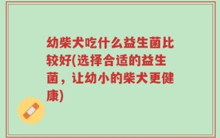 幼柴犬吃什么益生菌比较好(选择合适的益生菌，让幼小的柴犬更健康)