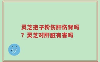 灵芝孢子粉伤肝伤肾吗？灵芝对肝脏有害吗