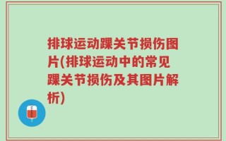 排球运动踝关节损伤图片(排球运动中的常见踝关节损伤及其图片解析)