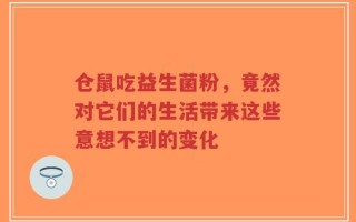 仓鼠吃益生菌粉，竟然对它们的生活带来这些意想不到的变化