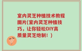 室内灵芝种植技术教程图片(室内灵芝种植技巧，让你轻松DIY高质量灵芝炮制！)