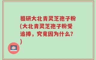 祖研大北青灵芝孢子粉(大北青灵芝孢子粉受追捧，究竟因为什么？)