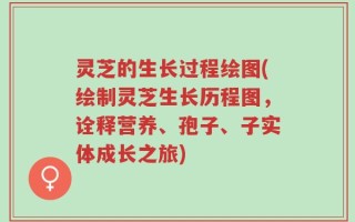 灵芝的生长过程绘图(绘制灵芝生长历程图，诠释营养、孢子、子实体成长之旅)