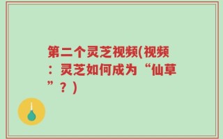 第二个灵芝视频(视频：灵芝如何成为“仙草”？)