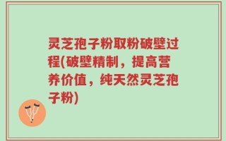 灵芝孢子粉取粉破壁过程(破壁精制，提高营养价值，纯天然灵芝孢子粉)