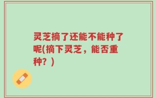 灵芝摘了还能不能种了呢(摘下灵芝，能否重种？)