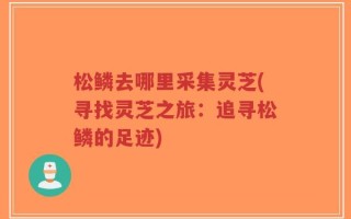 松鳞去哪里采集灵芝(寻找灵芝之旅：追寻松鳞的足迹)