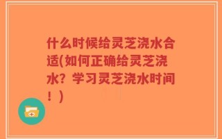 什么时候给灵芝浇水合适(如何正确给灵芝浇水？学习灵芝浇水时间！)
