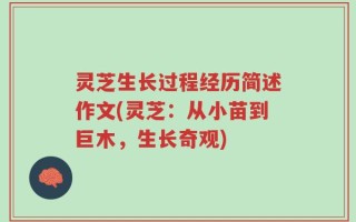 灵芝生长过程经历简述作文(灵芝：从小苗到巨木，生长奇观)