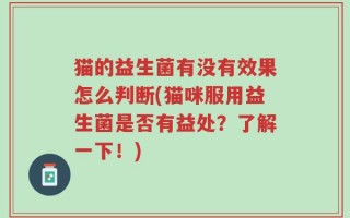 猫的益生菌有没有效果怎么判断(猫咪服用益生菌是否有益处？了解一下！)