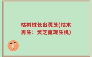 枯树桩长出灵芝(枯木再生：灵芝重现生机)