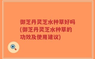 御芝丹灵芝水种草好吗(御芝丹灵芝水种草的功效及使用建议)