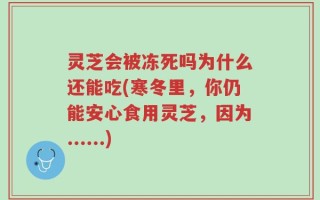 灵芝会被冻死吗为什么还能吃(寒冬里，你仍能安心食用灵芝，因为......)