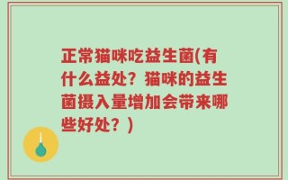 正常猫咪吃益生菌(有什么益处？猫咪的益生菌摄入量增加会带来哪些好处？)