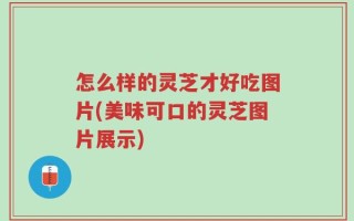 怎么样的灵芝才好吃图片(美味可口的灵芝图片展示)