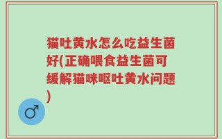 猫吐黄水怎么吃益生菌好(正确喂食益生菌可缓解猫咪呕吐黄水问题)