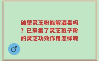 破壁灵芝粉能解酒毒吗？已采集了灵芝孢子粉的灵芝功效作用怎样呢
