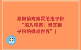 显微镜观察灵芝孢子粉_“深入观察：灵芝孢子粉的微观世界”)