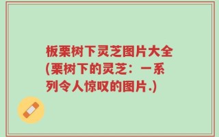 板栗树下灵芝图片大全(栗树下的灵芝：一系列令人惊叹的图片.)