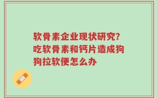 软骨素企业现状研究？吃软骨素和钙片造成狗狗拉软便怎么办