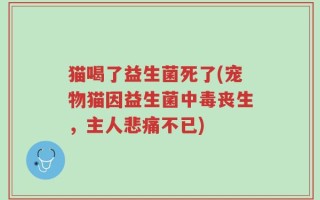 猫喝了益生菌死了(宠物猫因益生菌中毒丧生，主人悲痛不已)