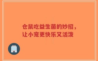 仓鼠吃益生菌的妙招，让小宠更快乐又活泼