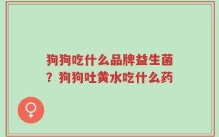 狗狗吃什么品牌益生菌？狗狗吐黄水吃什么药