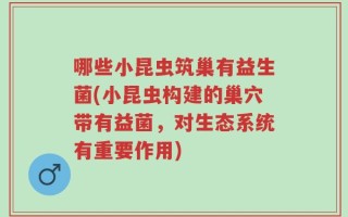 哪些小昆虫筑巢有益生菌(小昆虫构建的巢穴带有益菌，对生态系统有重要作用)