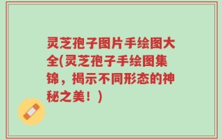灵芝孢子图片手绘图大全(灵芝孢子手绘图集锦，揭示不同形态的神秘之美！)