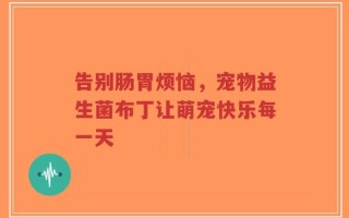 告别肠胃烦恼，宠物益生菌布丁让萌宠快乐每一天