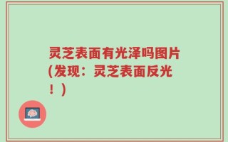 灵芝表面有光泽吗图片(发现：灵芝表面反光！)