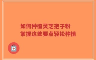 如何种植灵芝孢子粉 掌握这些要点轻松种植