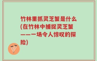 竹林里抓灵芝蟹是什么(在竹林中捕捉灵芝蟹——一场令人惊叹的探险)