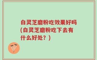 白灵芝磨粉吃效果好吗(白灵芝磨粉吃下去有什么好处？)