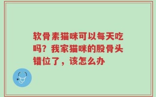 软骨素猫咪可以每天吃吗？我家猫咪的股骨头错位了，该怎么办